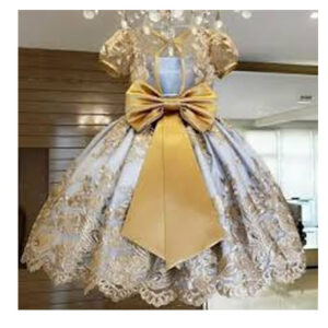 Children Occasion Gown